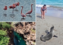 Imagen Galapagos 3 islas